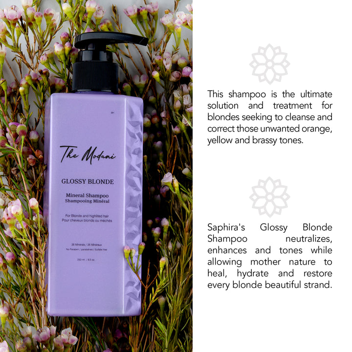Glossy Blonde Shampoo